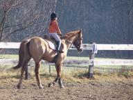 Lezioni di equitazione per bambini