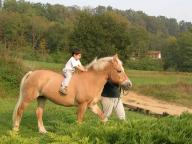 Passeggiate sui pony per i bambini.